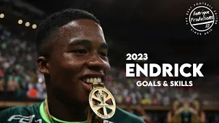 Endrick ► SE Palmeiras ● Goals and Skills ● 2023 | HD