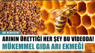 Arının Ürettiği Her Şey Bu Videoda! Mükemmel Gıda Arı Ekmeği | Abi Nerdesin?