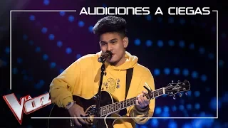 Lion - 'Toxic' | Blind Auditions | The Voice Of Spain 2019