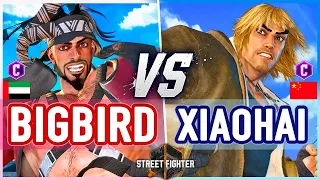 SF6 🔥 BigBird (Rashid) vs Xiaohai (Ken) 🔥 Street Fighter 6