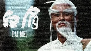 Voodoo Kungfu - Pai Mei (OFFICIAL AUDIO)