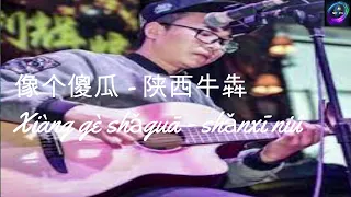 像个傻瓜 - 陕西牛犇 (( Xiang ge sha gua - Shan xi niu ben ))