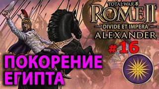 Total War: Rome 2 - Александр Великий (Divide et Impera) - Стрим, Прохождение (=)