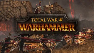 Total War Warhammer №7