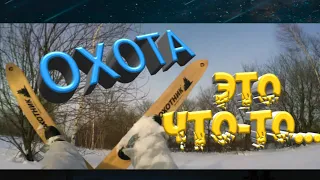 Охота на зайца зимой - Это что-то потрясающее...