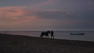 Daniel Caesar ' Cyanide Remix ' ft Koffee Official Music Audio And Video