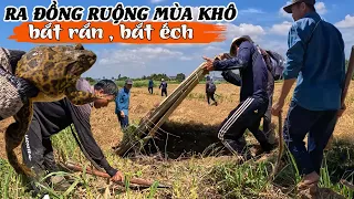 Ra đồng mùa khô, bắt Rắn và Ếch | Tâm hôm nay quá giỏi, đoán Rắn thật chuẩn | TGSB #821