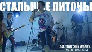 СТАЛЬНЫЕ ПИТОНЫ - ALL THAT SHE WANTS (ASE OF BASE COVER)