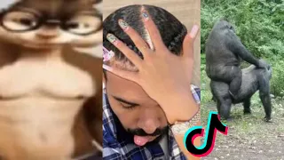 BEST UNUSUAL Memes PART #20  Funny Videos Compilation 2024 😂😁😆 TRY NOT TO LAUGH