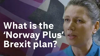 What does a 'Norway Plus' Brexit plan mean? We went to Oslo to find out