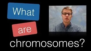 What are Chromosomes?