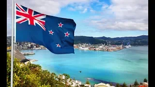 Пучок зелени в Новой Зеландии стоит почти 70 гривен