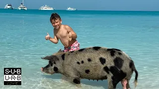 Sailing The Exumas: Staniel Cay: Ep.5 - Swimming with the Pigs!!