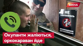 У нас тут ТАКОЕ... Как тут НЕ ПИТЬ? Заблукалий турист з РФ жаліється на долю