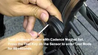 How to install CS 20 Speed & Cadence Sensor?