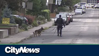 Police dogs and their contribution to public safety