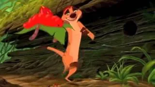 Timon and Pumbaa for President