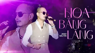 HOA BẰNG LĂNG - JIMMY NGUYỄN live at #Lululola