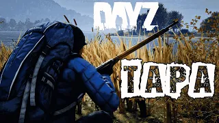 Обзор сервера TAPA PVE #dayz