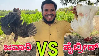 ಜವಾರಿ ಕೋಳಿ VS ಹೇಬ್ರಿಡ್ ಕೋಳಿ #comedy #shivaputracomedy #chicken