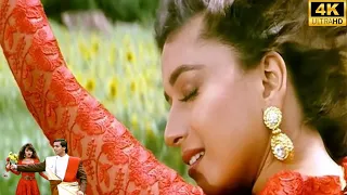 Inko Hum Leke Chale Hai Apne Sang Apni Nagariya | Ye Mausam Ka Jaadu Hai Mitwa | Salman Khan,Madhuri