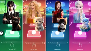 Cute Cats Dance | Wednesday Bloody Mary | Shakira Waka Waka | Jisoo Flower | Elsa Enemy | Cat Songs