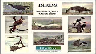 Birds, Vol. III, No 3, March 1898 by VARIOUS read by Various | Full Audio Book
