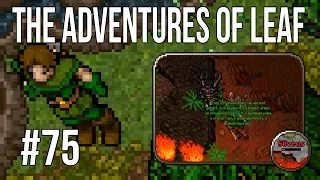 Let's Play Tibia: Paladin from start to... Part 75. (ENG)