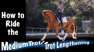 How to Ride the Medium Trot/ Trot Lengthening