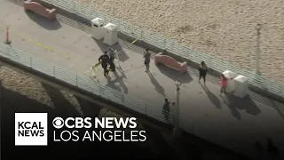 Manhattan Beach pier forced to close temporarily for large swarm of bees