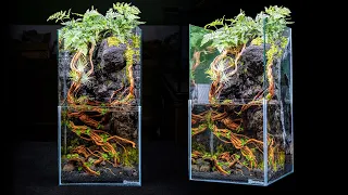 DIY Skyscraper Paludarium With Moss Waterfall