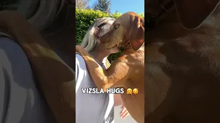 Willa loves her hugs with mom ❤️ #shorts #shortsfeed #fypシ #doglover #video #puppy