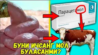 КИММАТ ДОРИНИ НИМАДАН ТАЙЁРЛАШИНИ БИЛАСИЗМИ?