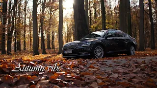 Autumn vibe (cinematic video)