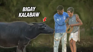 Binigay Ko Pangarap Nyang Kalabaw