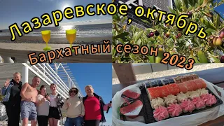 Лазаревское// 17 октября //Закрываем сезон 2023//Оливки на дереве// Ёжик в хинкальной