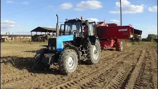 МТЗ 1221 с комбайнами Grimme SE 150-60,Grimme SE 260 и ККБ-2 "Лидагропроммаш" убирают картофель