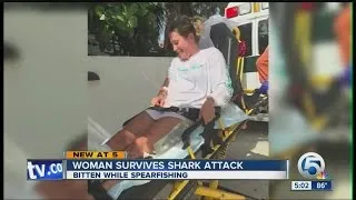 Woman survives shark attack