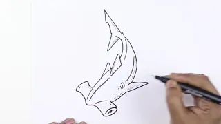 How to Draw a Hammerhead Shark Easy