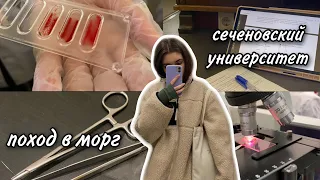 Vlog: поход в МОРГ!!! Неделя учебы в меде (Сеченовский университет)