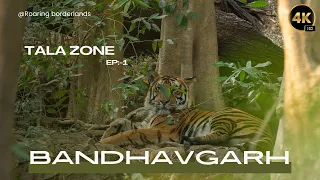 TALA ZONE EP 1| BANDHAVGARH NATIONAL PARK | 4K VIDEO