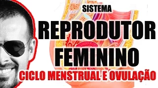 Ciclo Menstrual (menstruação) e Ovulação - Sistema Reprodutor Feminino - VideoAula 050