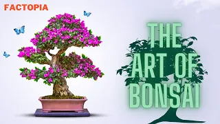 The Art of Bonsai  A Journey Through History