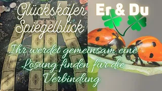 ❤️‍🔥Glückskäfer Spiegelblick Er&Du❤️‍🔥Ihr werdet gemeinsam eine Lösung finden  #tarot #liebe