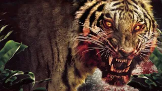 Champawat tiger. Man-eating beast that killed 430 people