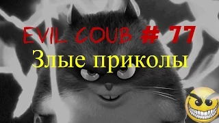 Evil Coub! Злые приколы! # 77 Эвил коуб! Best coub, подборка приколов!