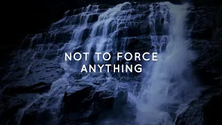 Wu wei... Not to force anything – Alan Watts