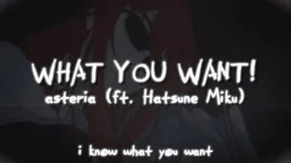 asteria - WHAT YOU WANT! (ft. Hatsune Miku) (lyric video)