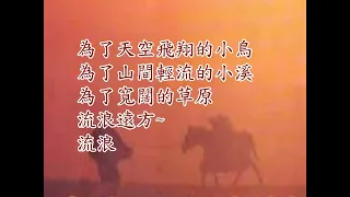 ♪ 橄欖樹 (翻唱版本)   #詩人的歌 📚 三毛・ 齊豫~ 經典作品