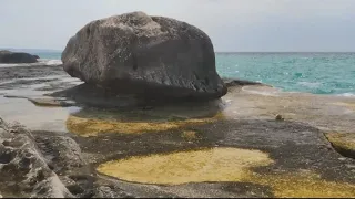 Каспийское море – это уникальная экологическая система